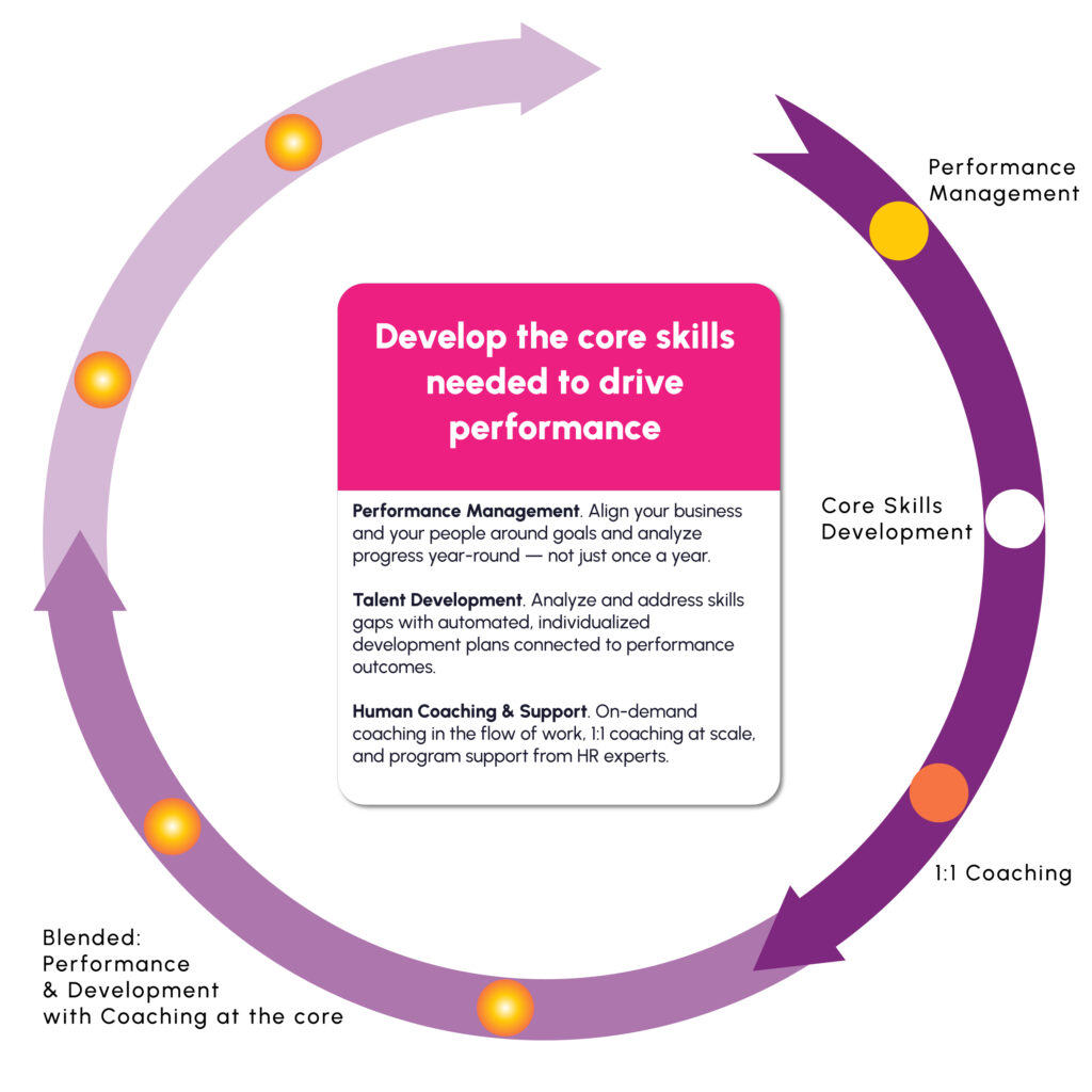 diagram showing the full skillcycle plan