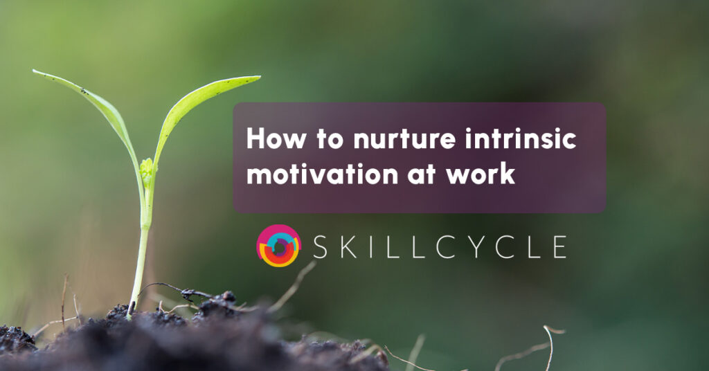 a plant growing out of the soil wiht the title text How to nurture intrinsic motivation at work