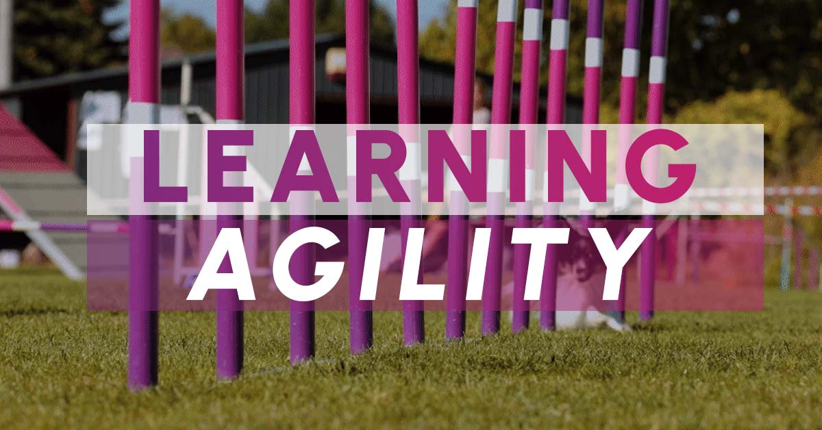 a thumbnail image to introduce a blog about learning agility